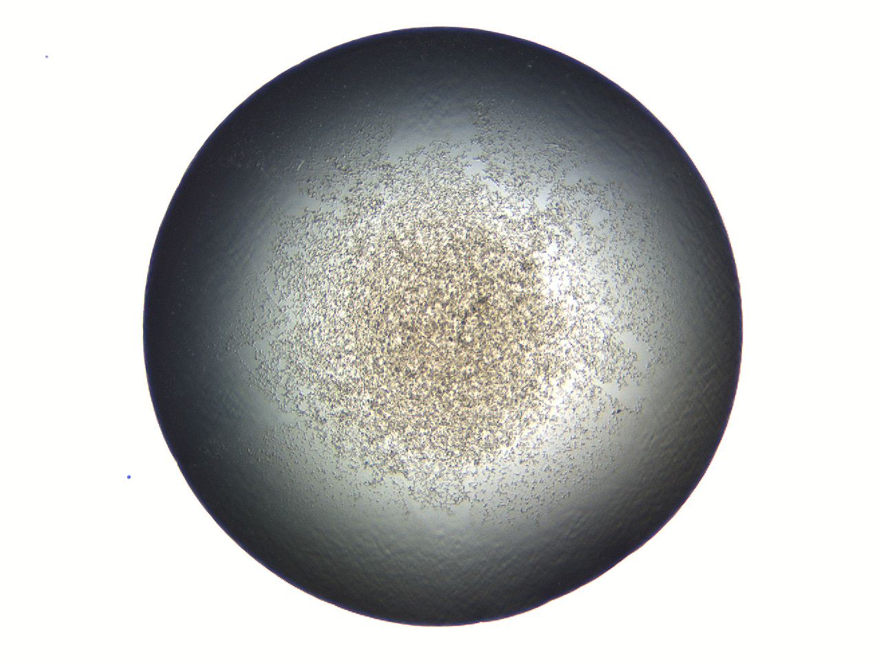 069a_F7_ImagerDefaults_3.jpg