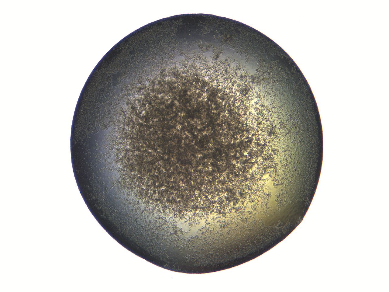 069a_F9_ImagerDefaults_3.jpg