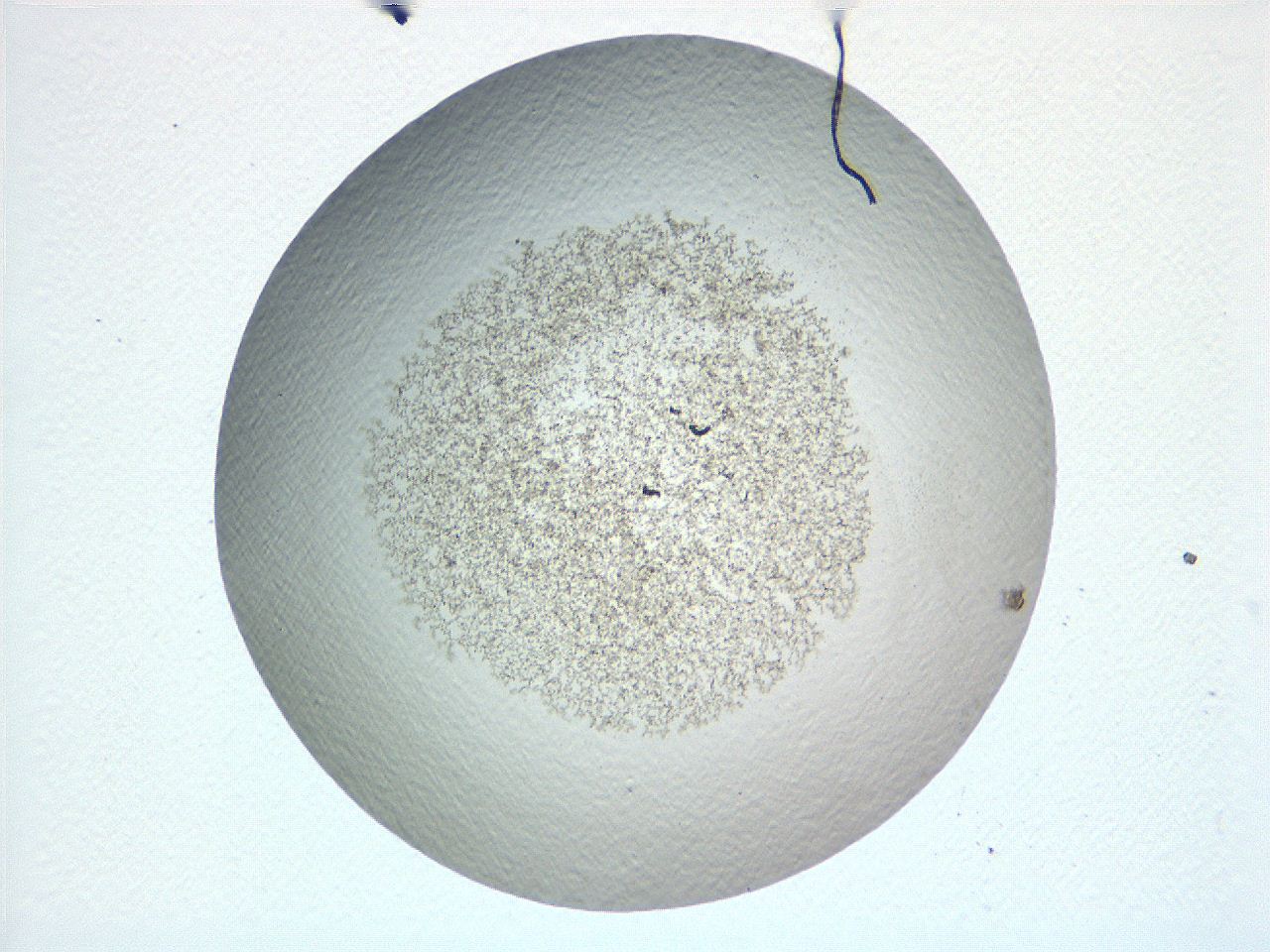 069a_F10_ImagerDefaults_3.jpg