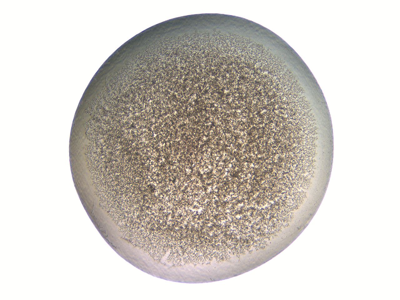 069a_F11_ImagerDefaults_3.jpg