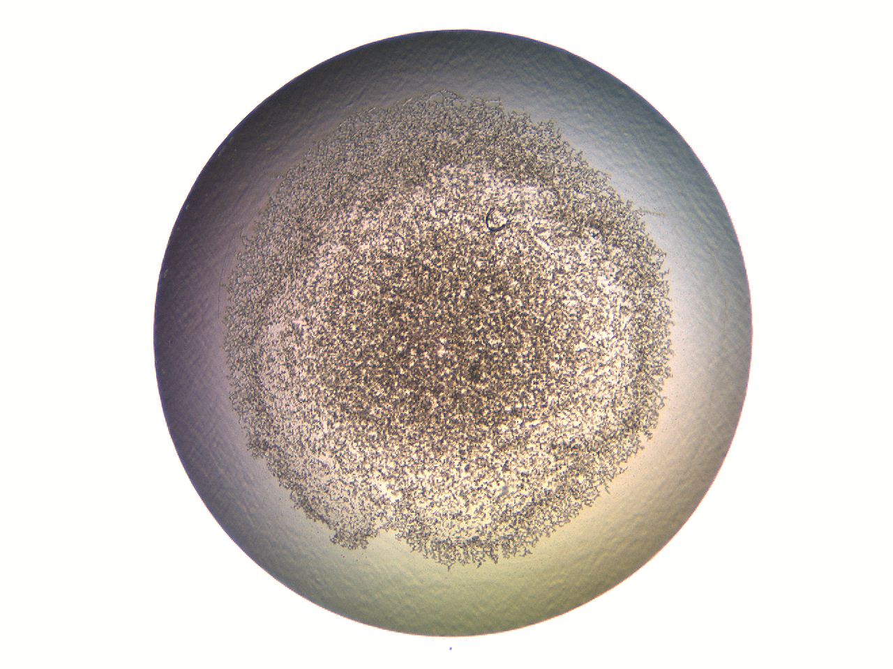 069a_F12_ImagerDefaults_3.jpg
