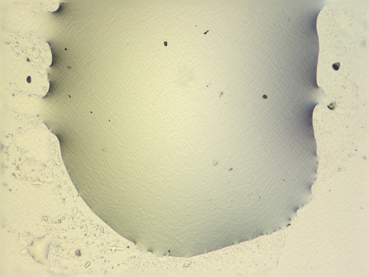 069a_G1_ImagerDefaults_0.jpg