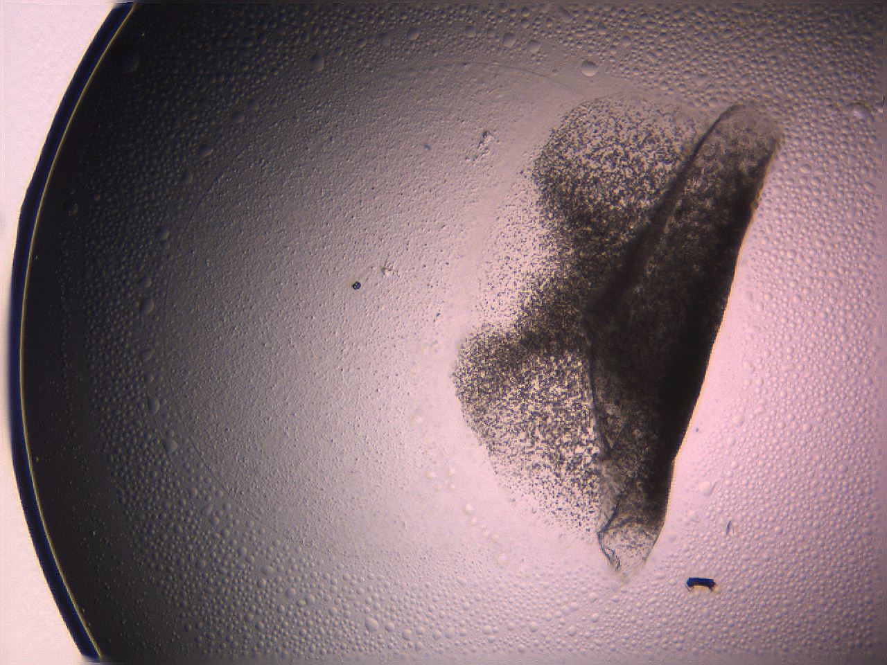 069a_G5_ImagerDefaults_3.jpg