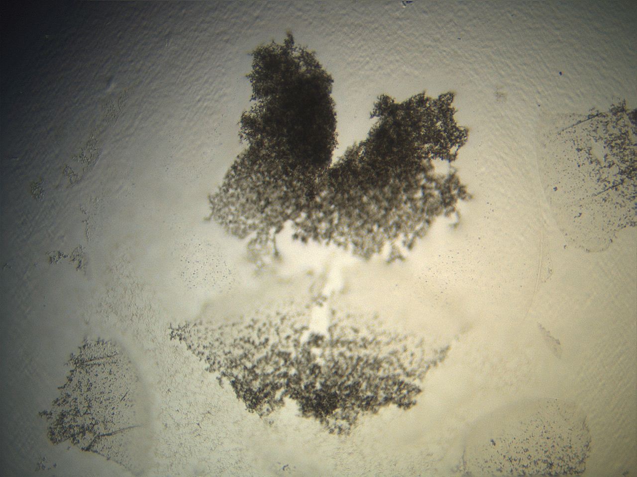 069a_G6_ImagerDefaults_3.jpg