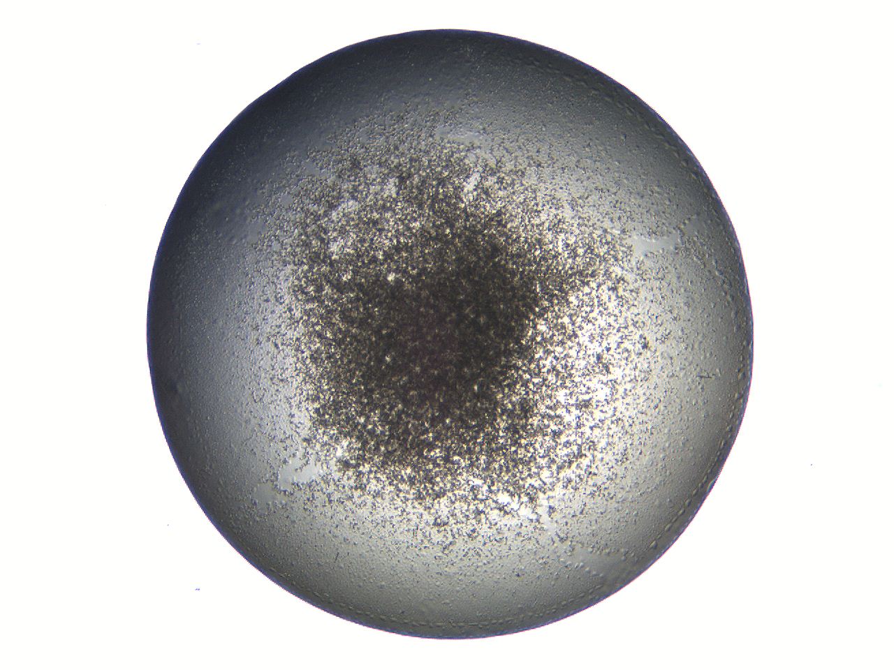 069a_G8_ImagerDefaults_3.jpg
