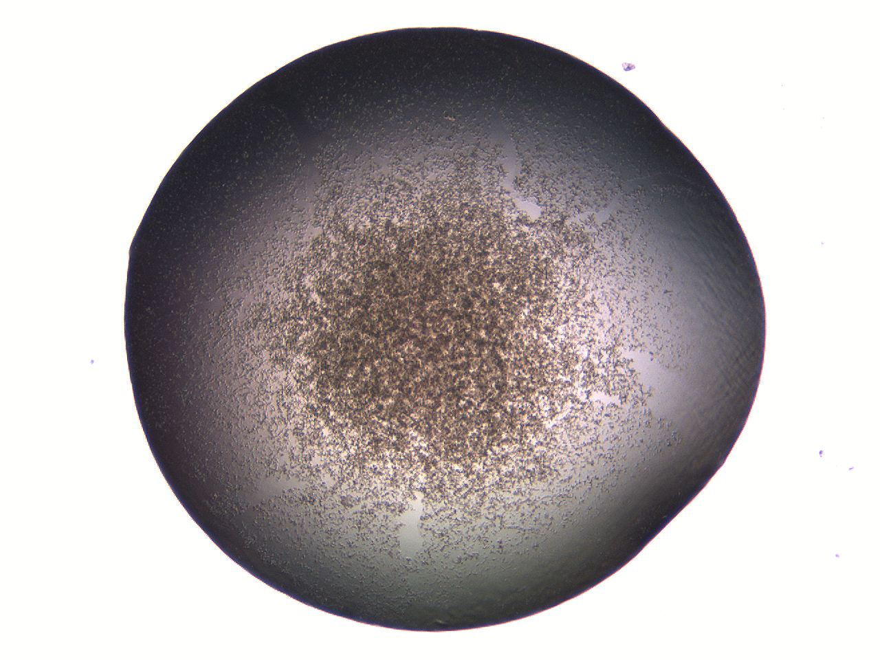 069a_G11_ImagerDefaults_3.jpg