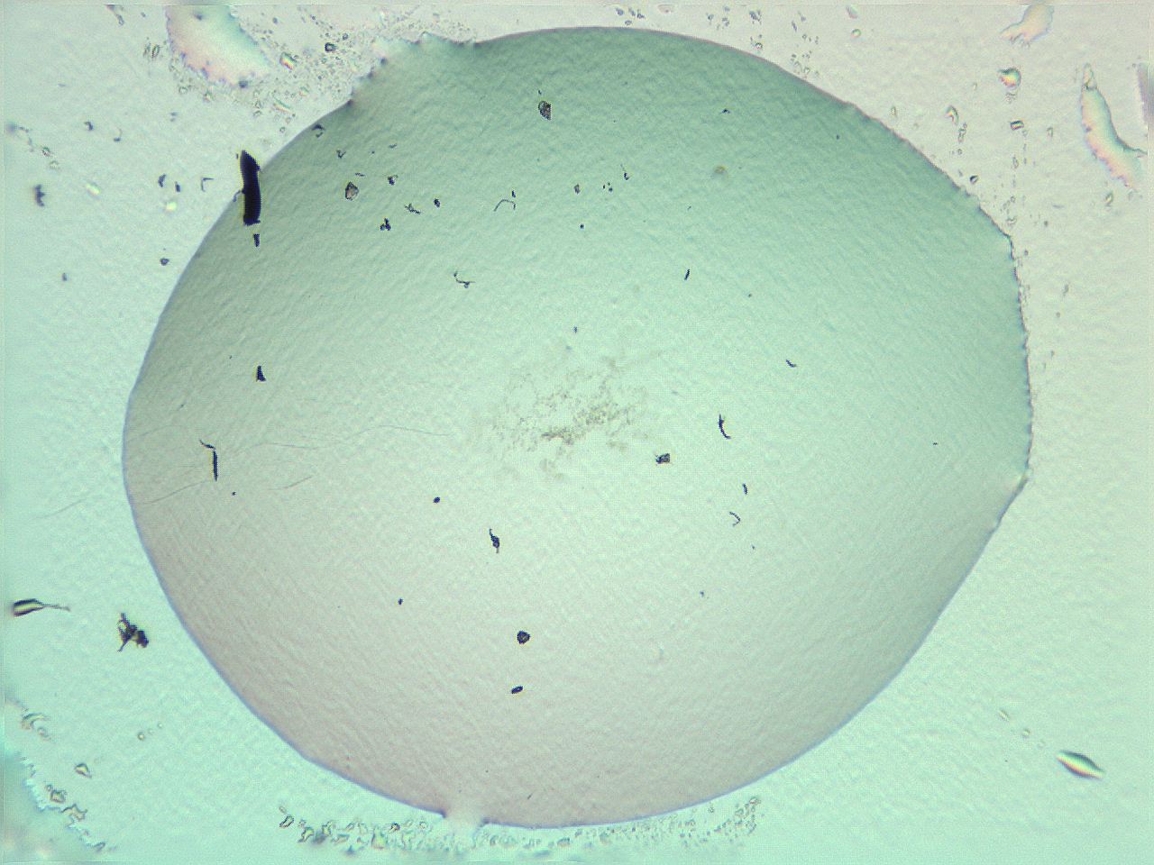 069a_H1_ImagerDefaults_0.jpg