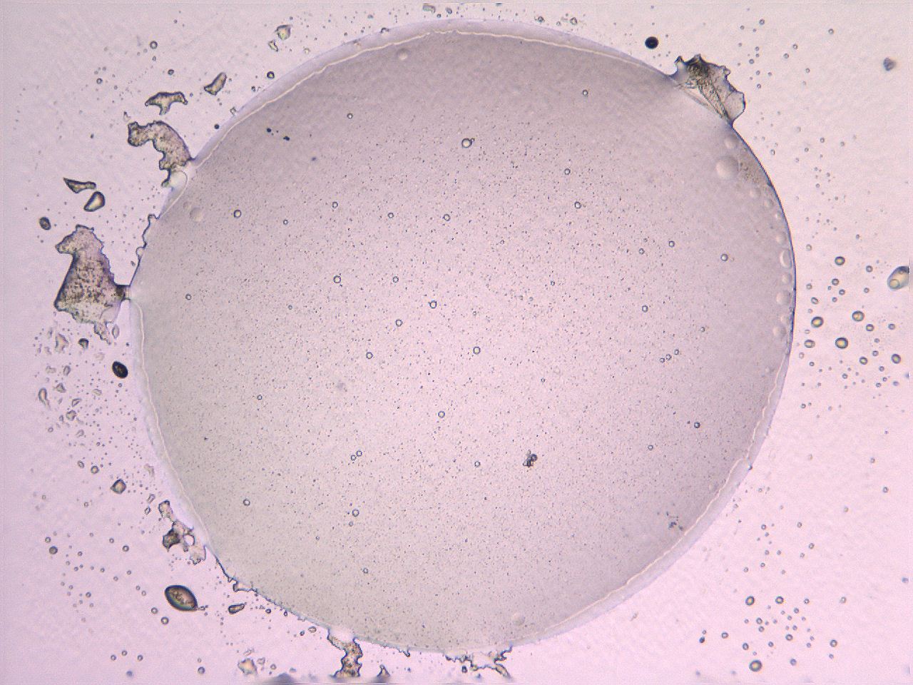069a_H2_ImagerDefaults_3.jpg