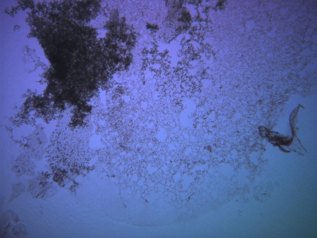 069a_H6_ImagerDefaults_3.jpg
