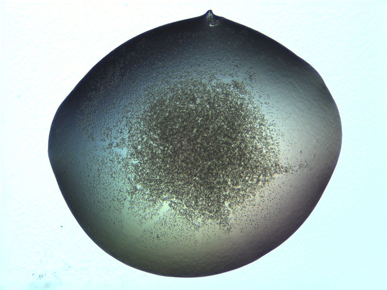 069a_H9_ImagerDefaults_3.jpg