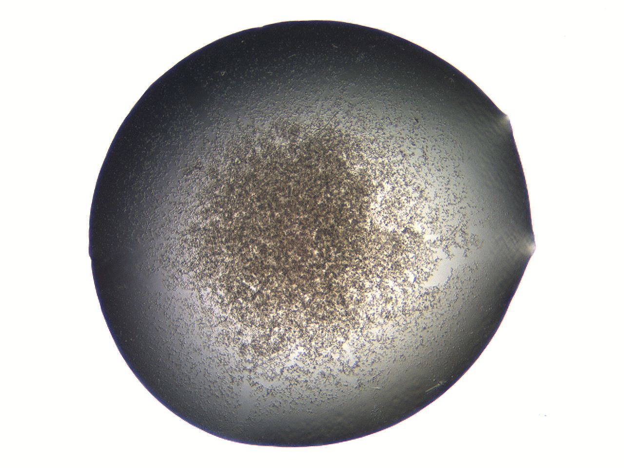 069a_H10_ImagerDefaults_3.jpg