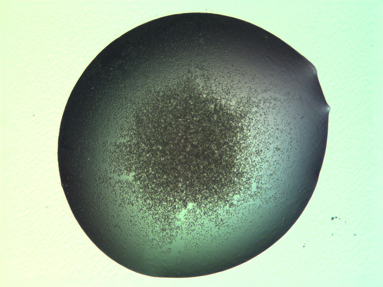 069a_H11_ImagerDefaults_3.jpg