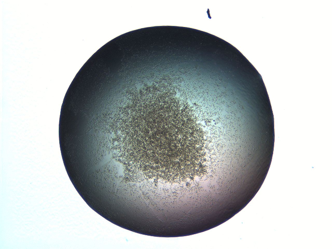 069a_H12_ImagerDefaults_3.jpg