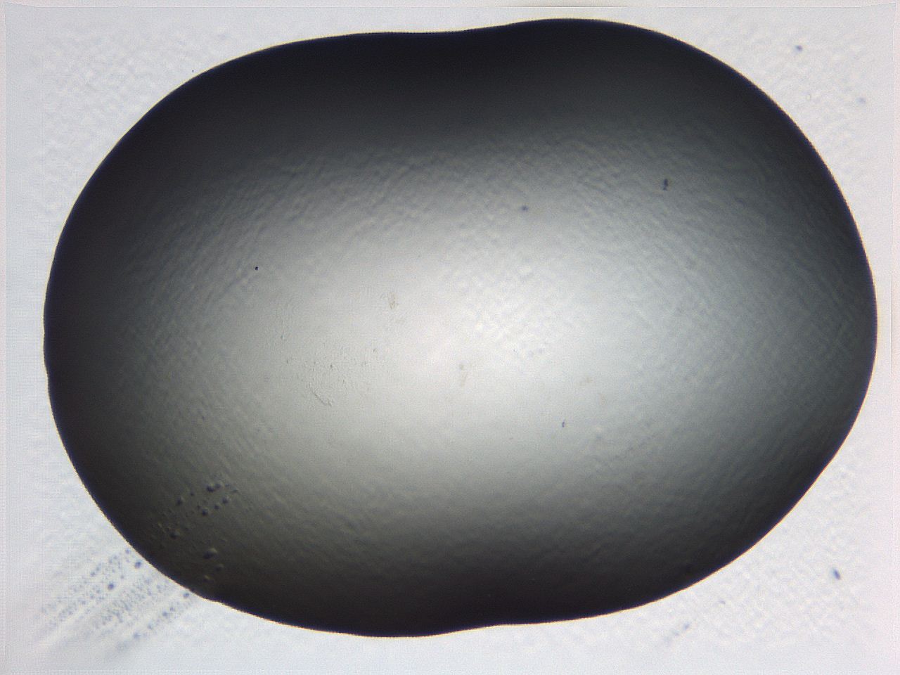 069b_C1_ImagerDefaults_0.jpg