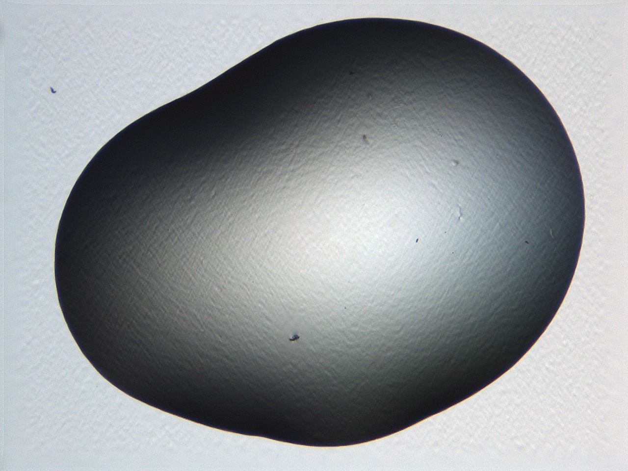 069b_C6_ImagerDefaults_0.jpg