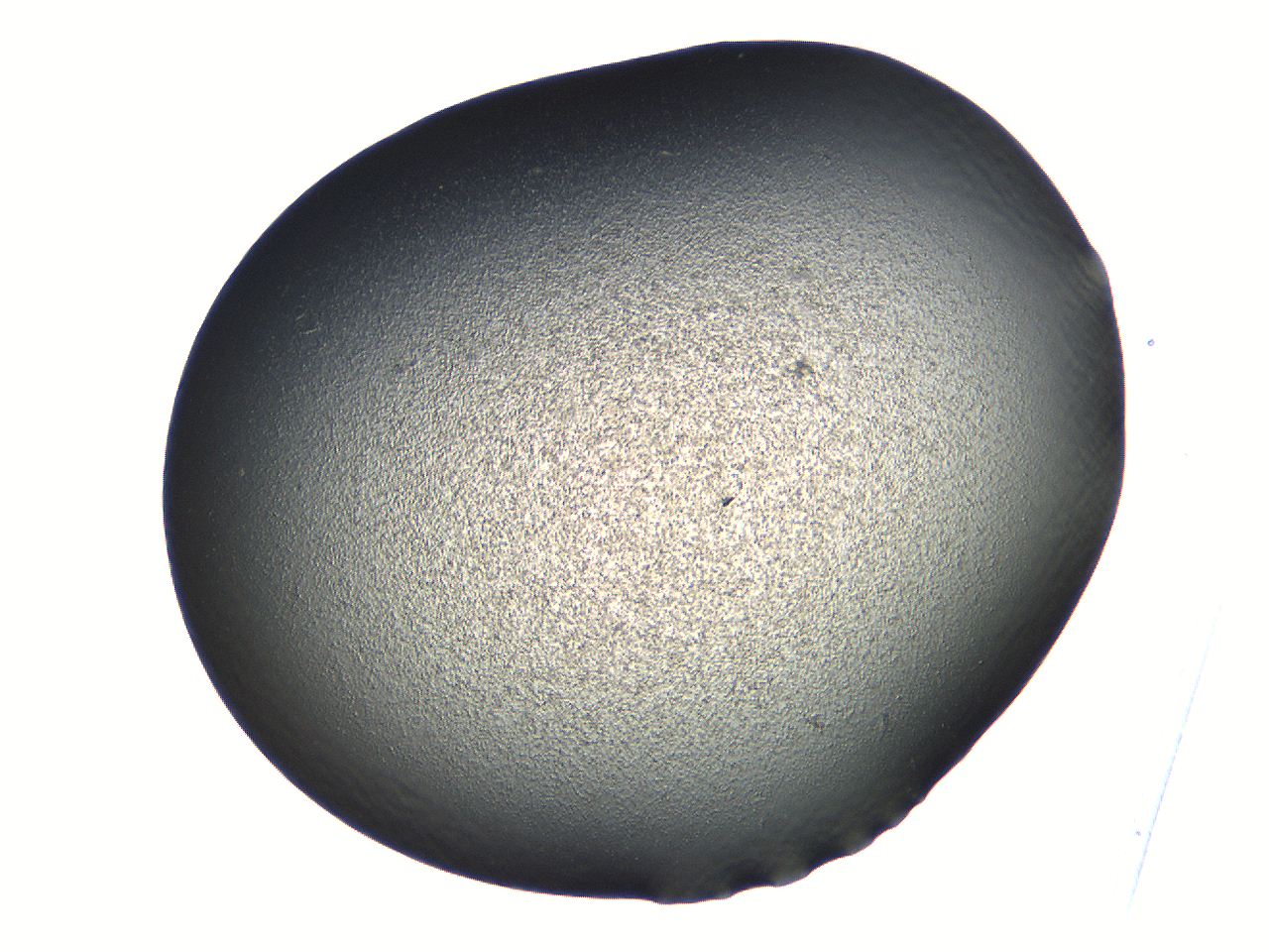 069b_C8_ImagerDefaults_0.jpg