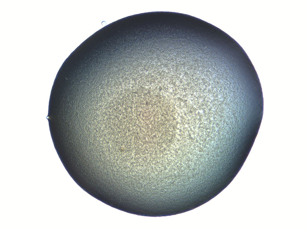 069b_C9_ImagerDefaults_3.jpg