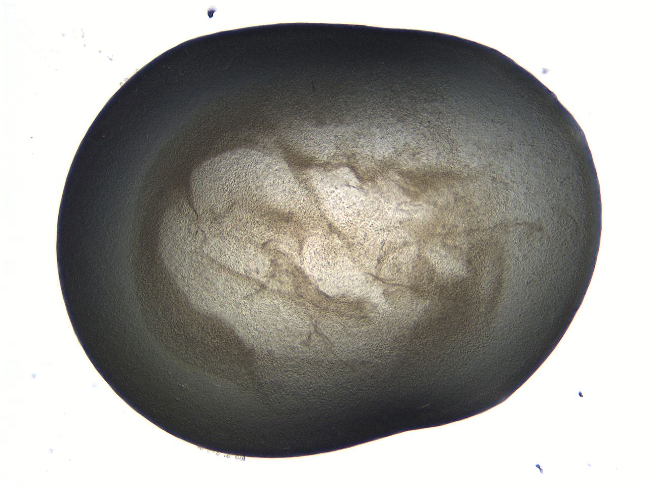 069b_D1_ImagerDefaults_3.jpg
