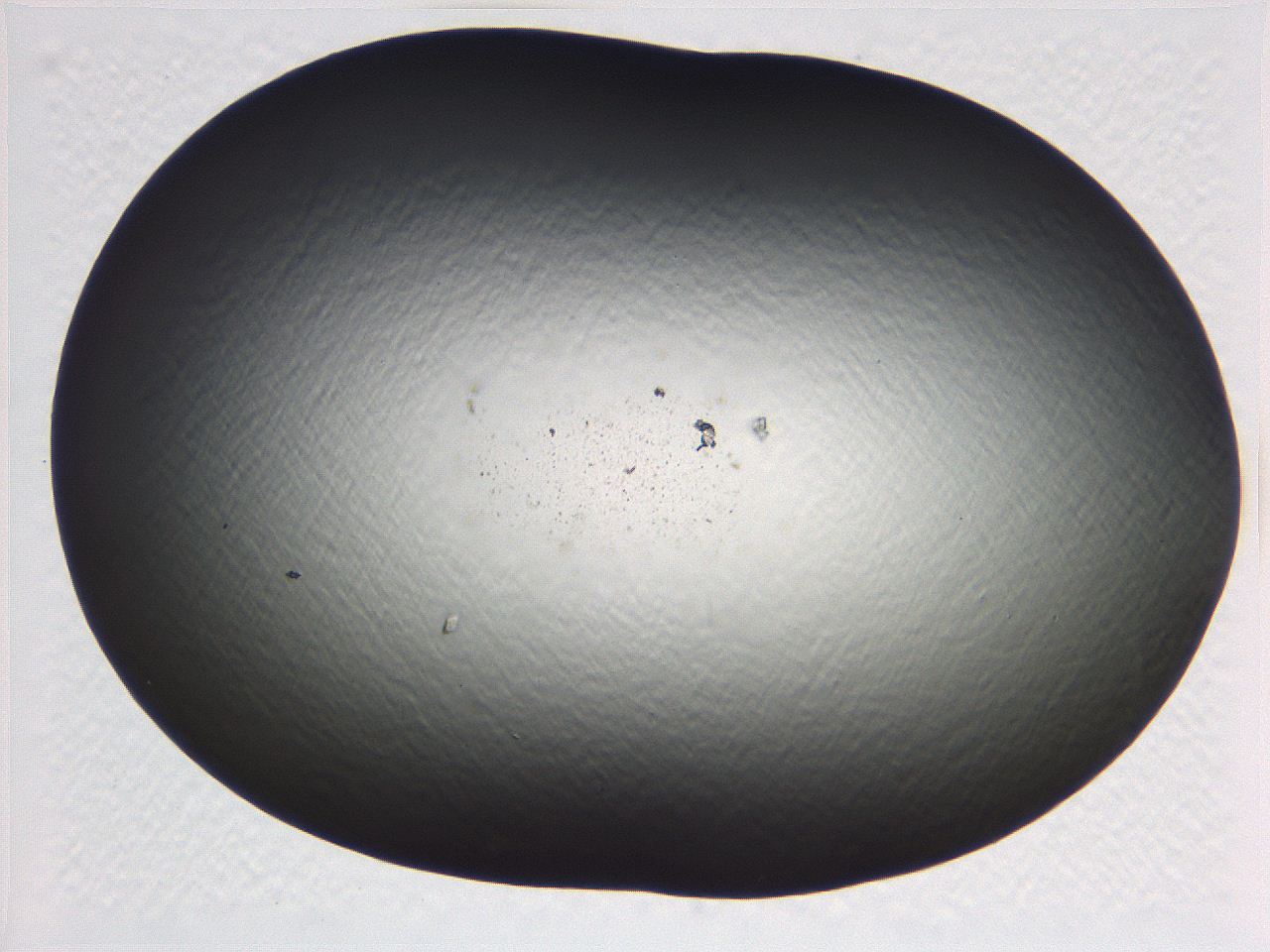 069b_D2_ImagerDefaults_0.jpg