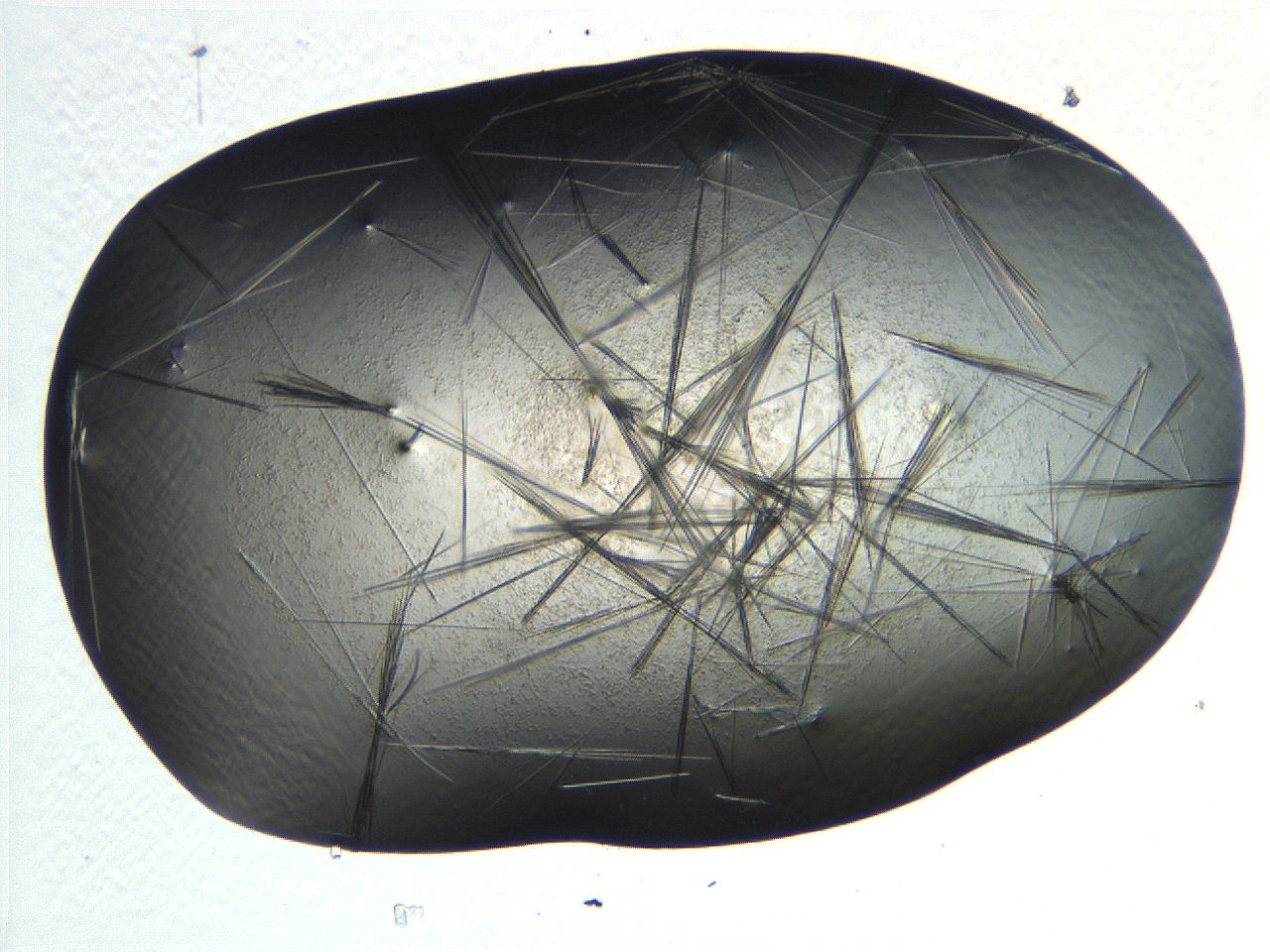 069b_D6_ImagerDefaults_7.jpg