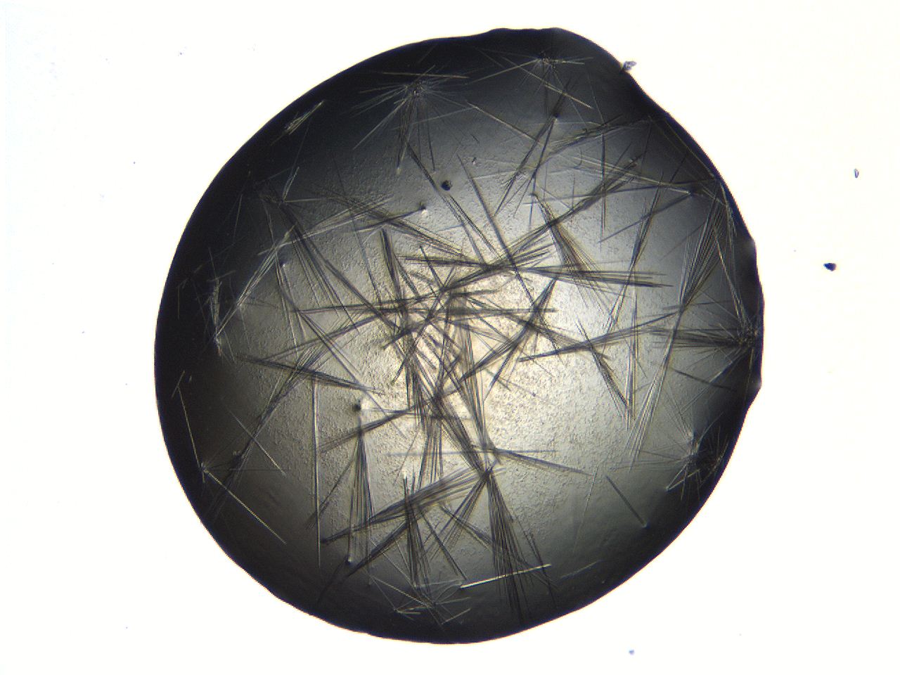 069b_D8_ImagerDefaults_7.jpg