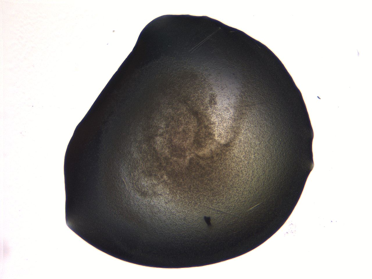069b_D10_ImagerDefaults_3.jpg