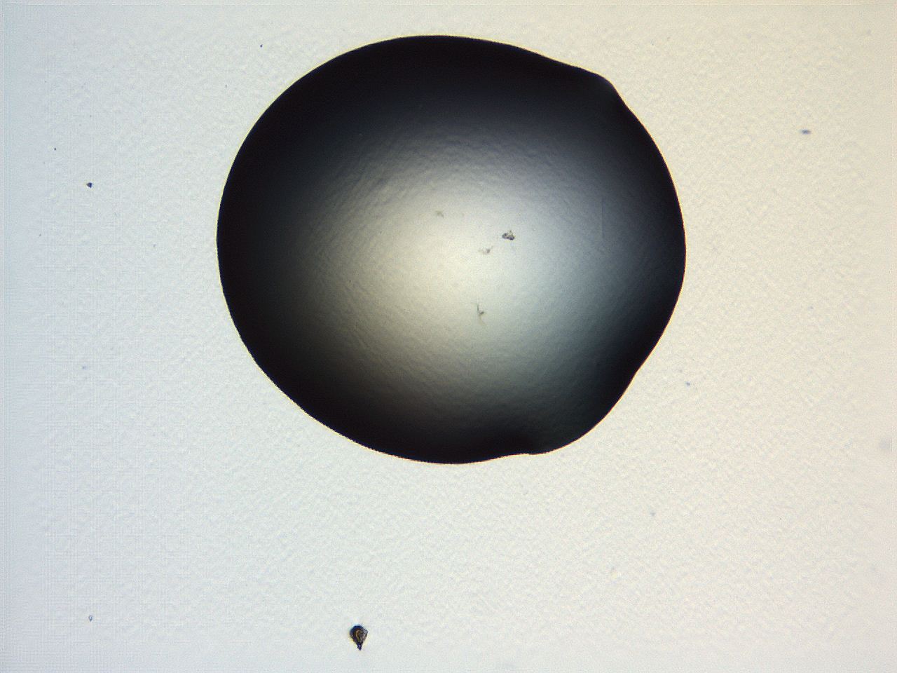 069b_B11_ImagerDefaults_0.jpg