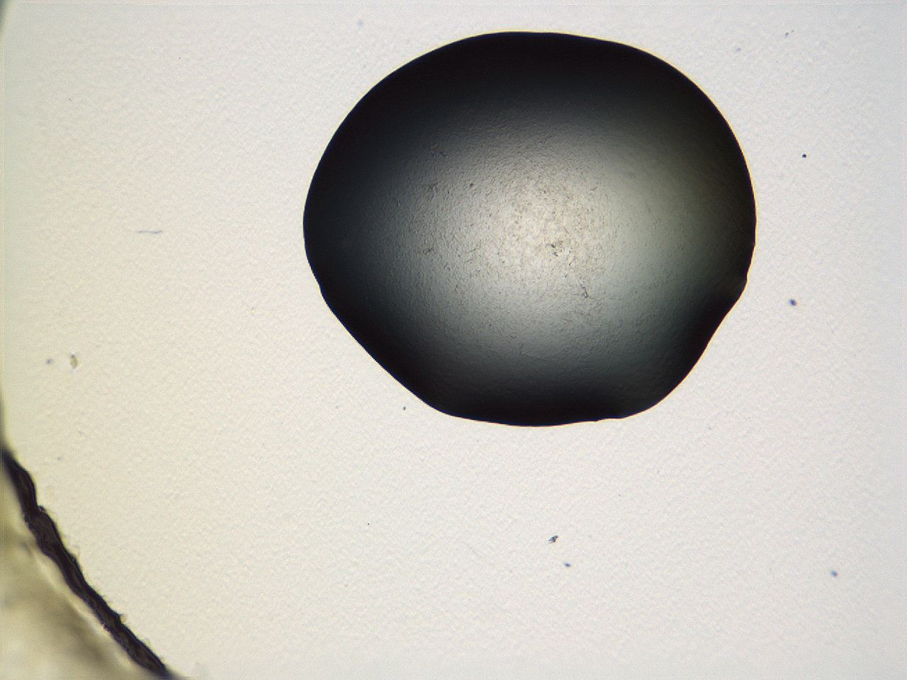 069b_B10_ImagerDefaults_0.jpg