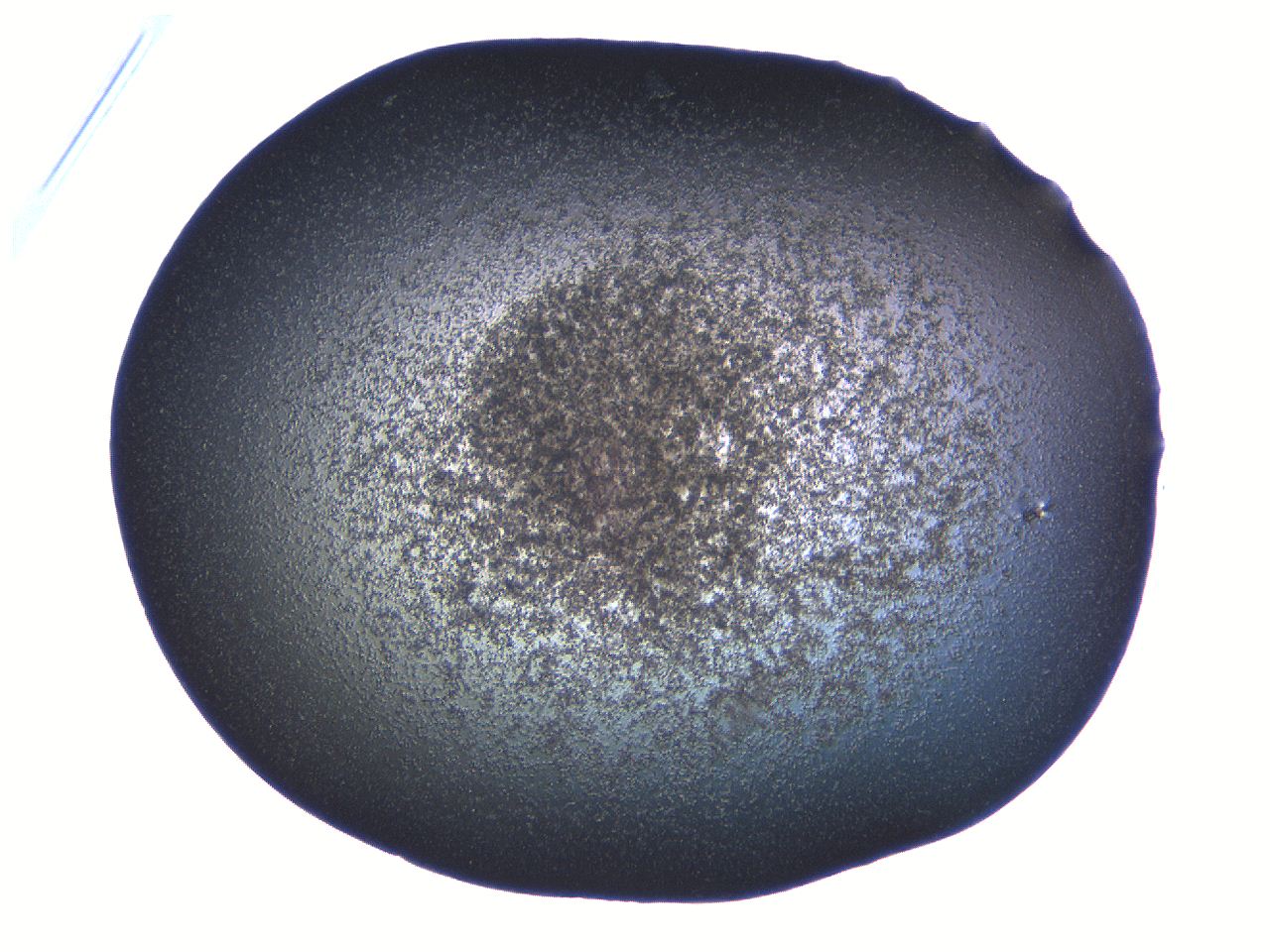 069b_B9_ImagerDefaults_3.jpg