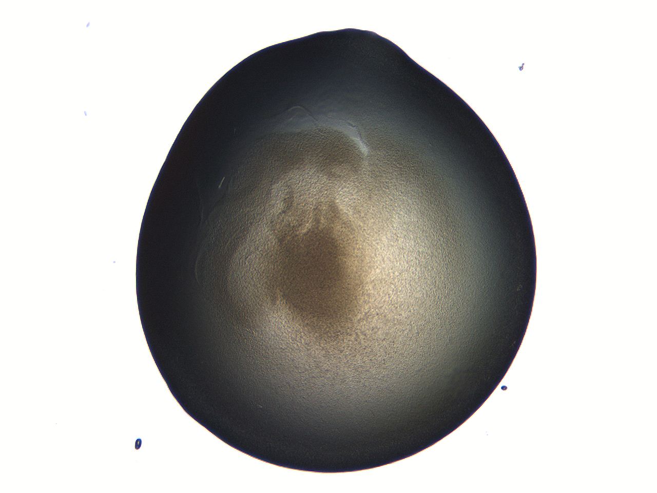 069b_D11_ImagerDefaults_3.jpg