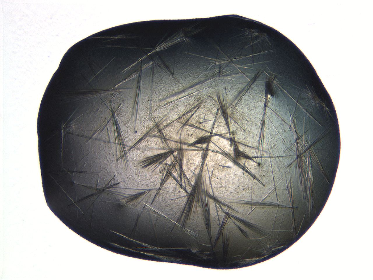 069b_D12_ImagerDefaults_7.jpg