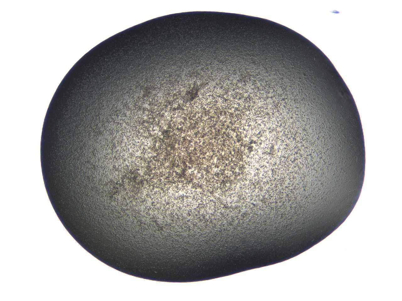 069b_E1_ImagerDefaults_3.jpg