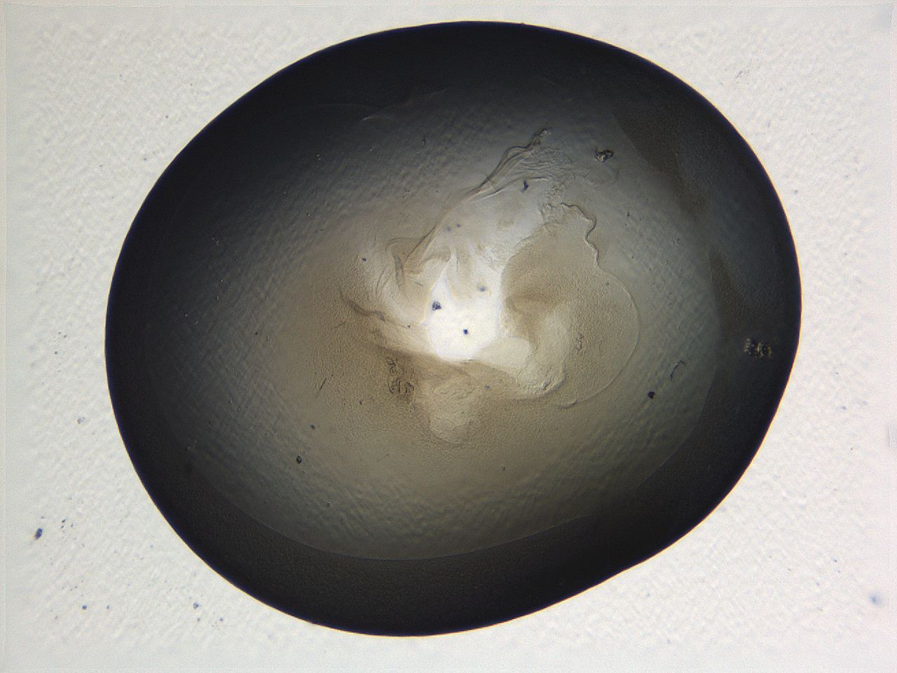 069b_E3_ImagerDefaults_3.jpg