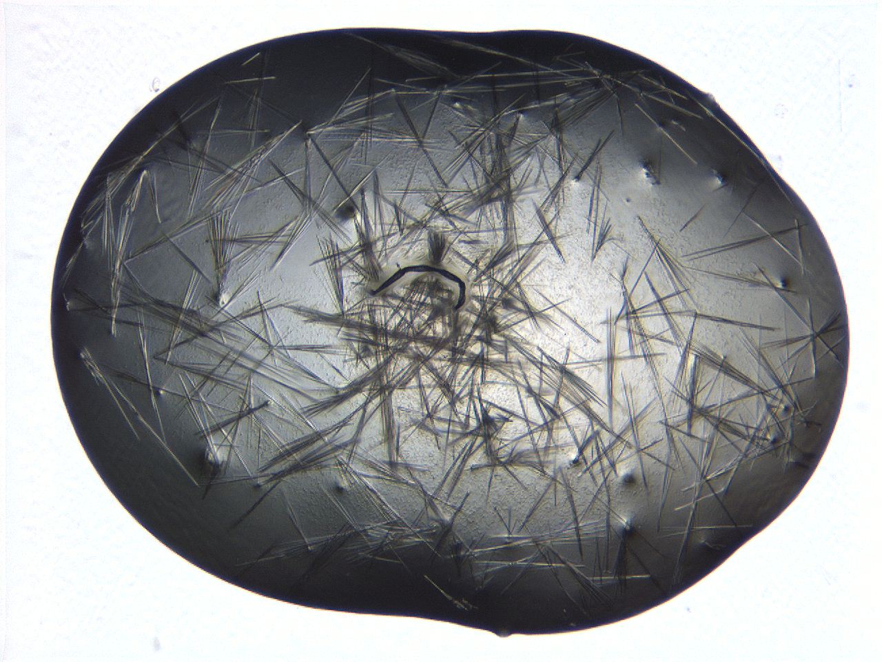 069b_E7_ImagerDefaults_7.jpg