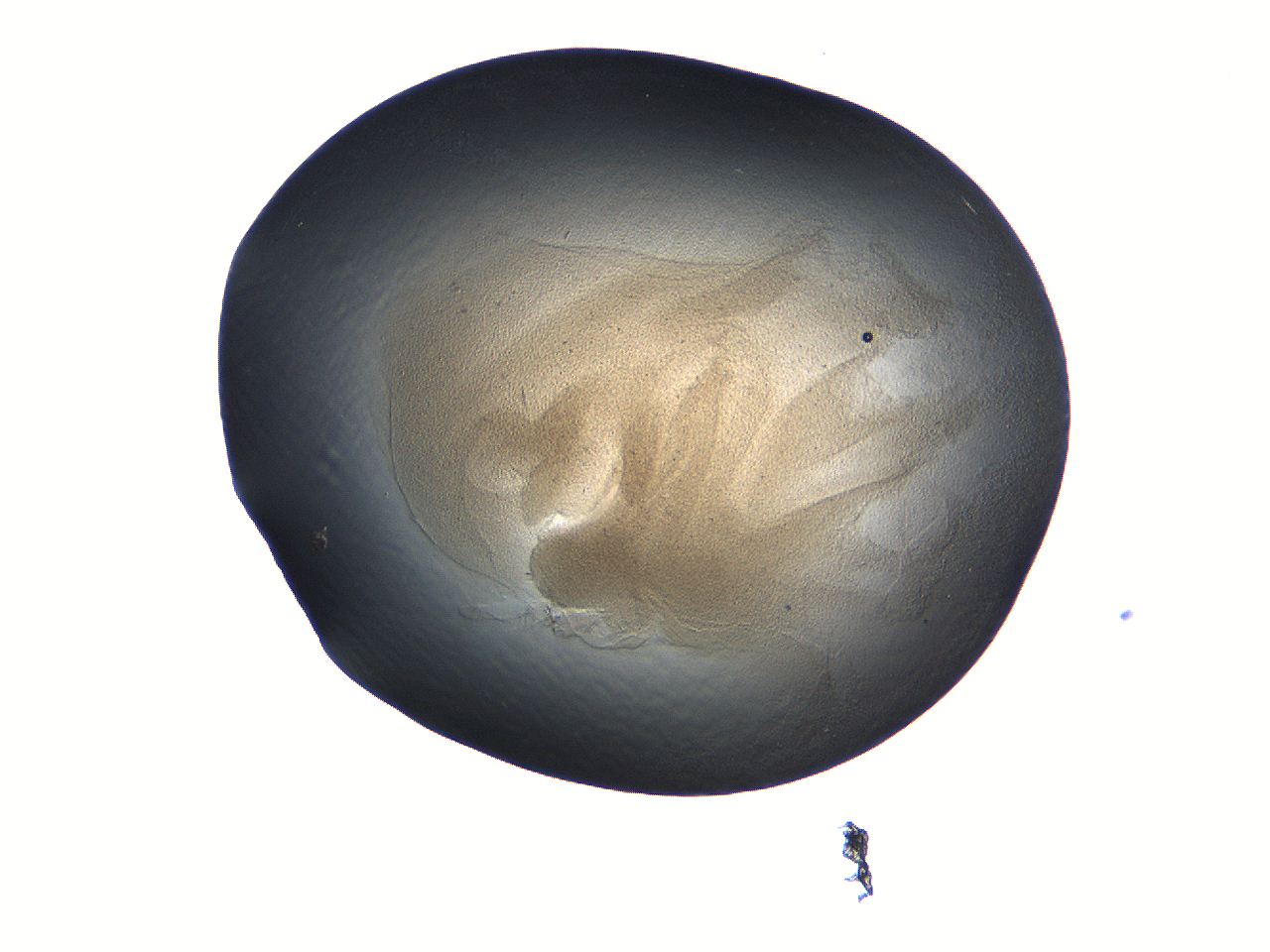 069b_B2_ImagerDefaults_3.jpg