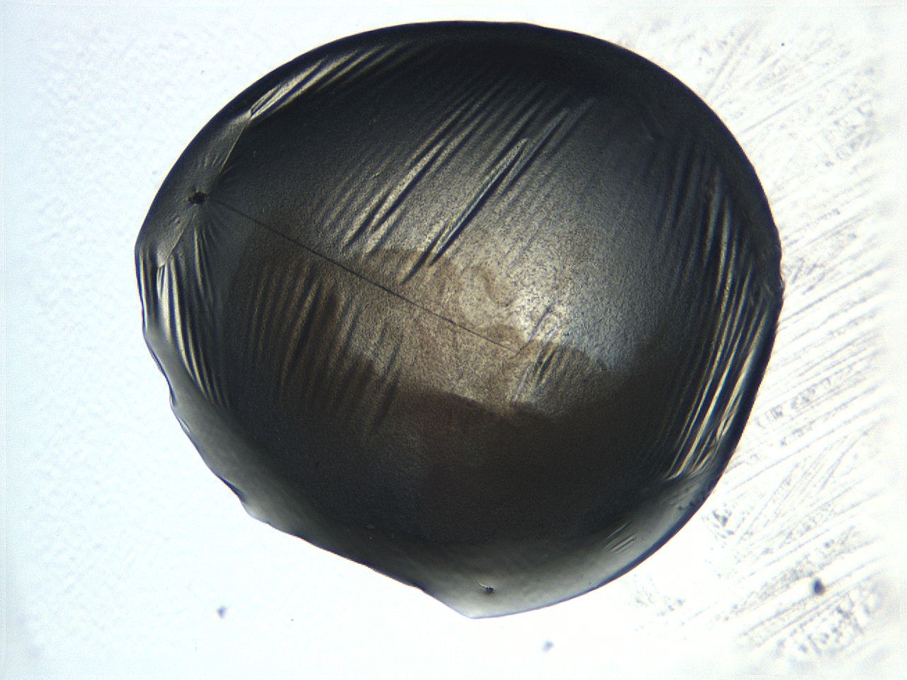 069b_B1_ImagerDefaults_3.jpg