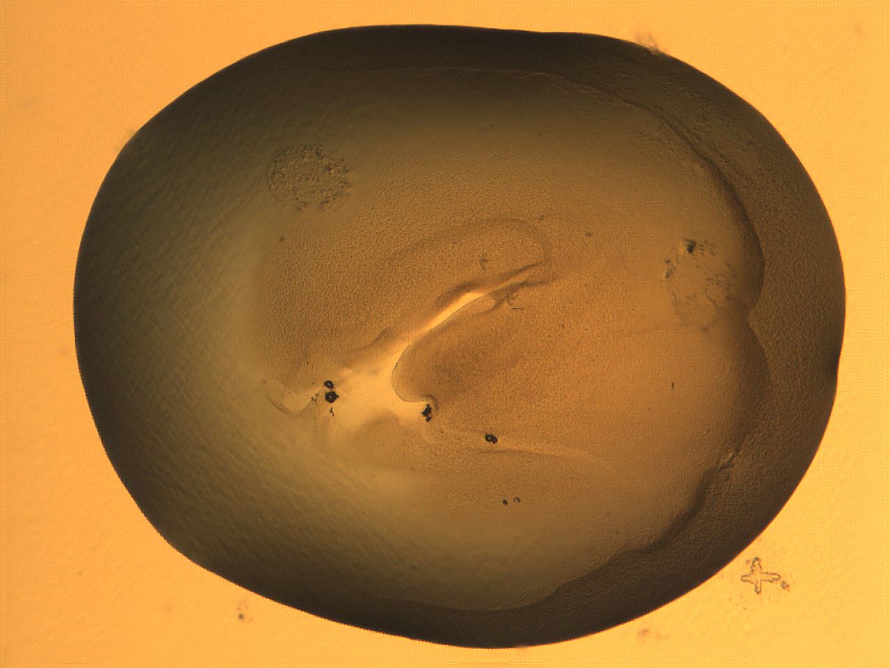 069b_A11_ImagerDefaults_3.jpg