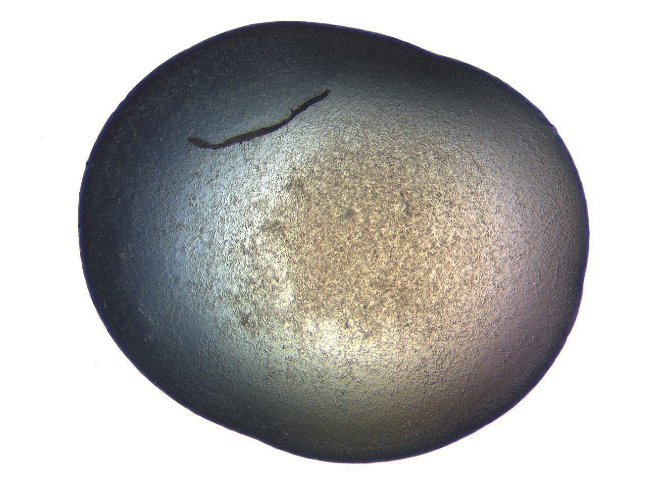 069b_A10_ImagerDefaults_3.jpg