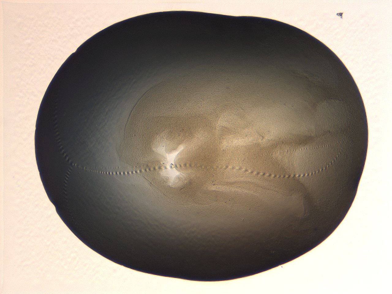 069b_A9_ImagerDefaults_3.jpg
