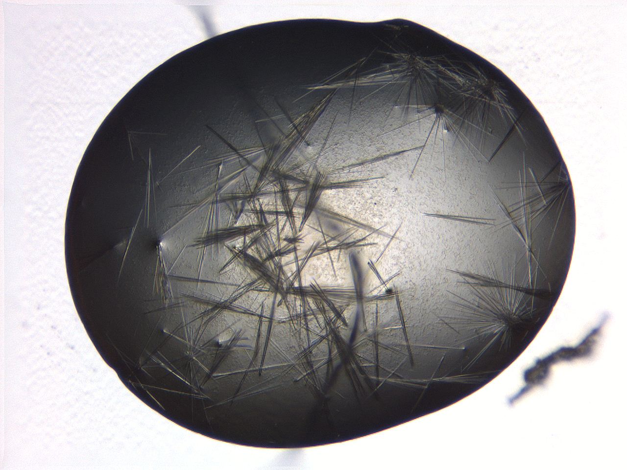 069b_A7_ImagerDefaults_7.jpg