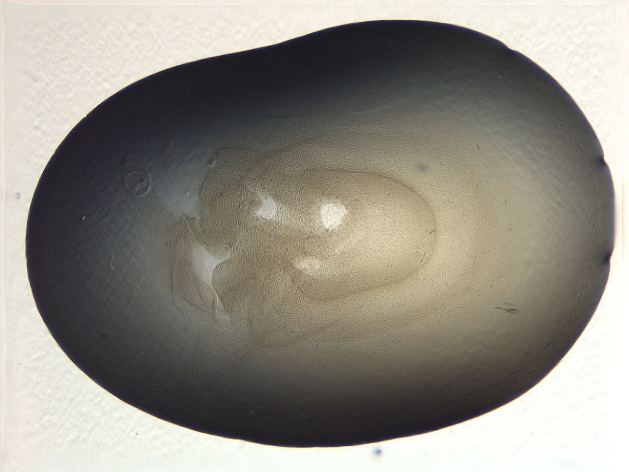 069b_A5_ImagerDefaults_3.jpg