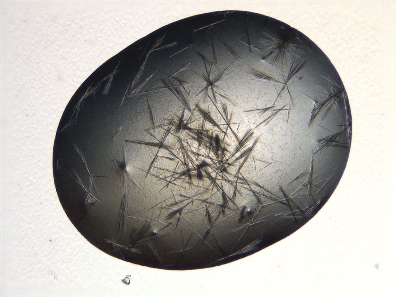 069b_A4_ImagerDefaults_7.jpg