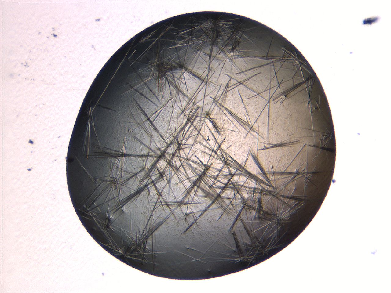 069b_A3_ImagerDefaults_7.jpg