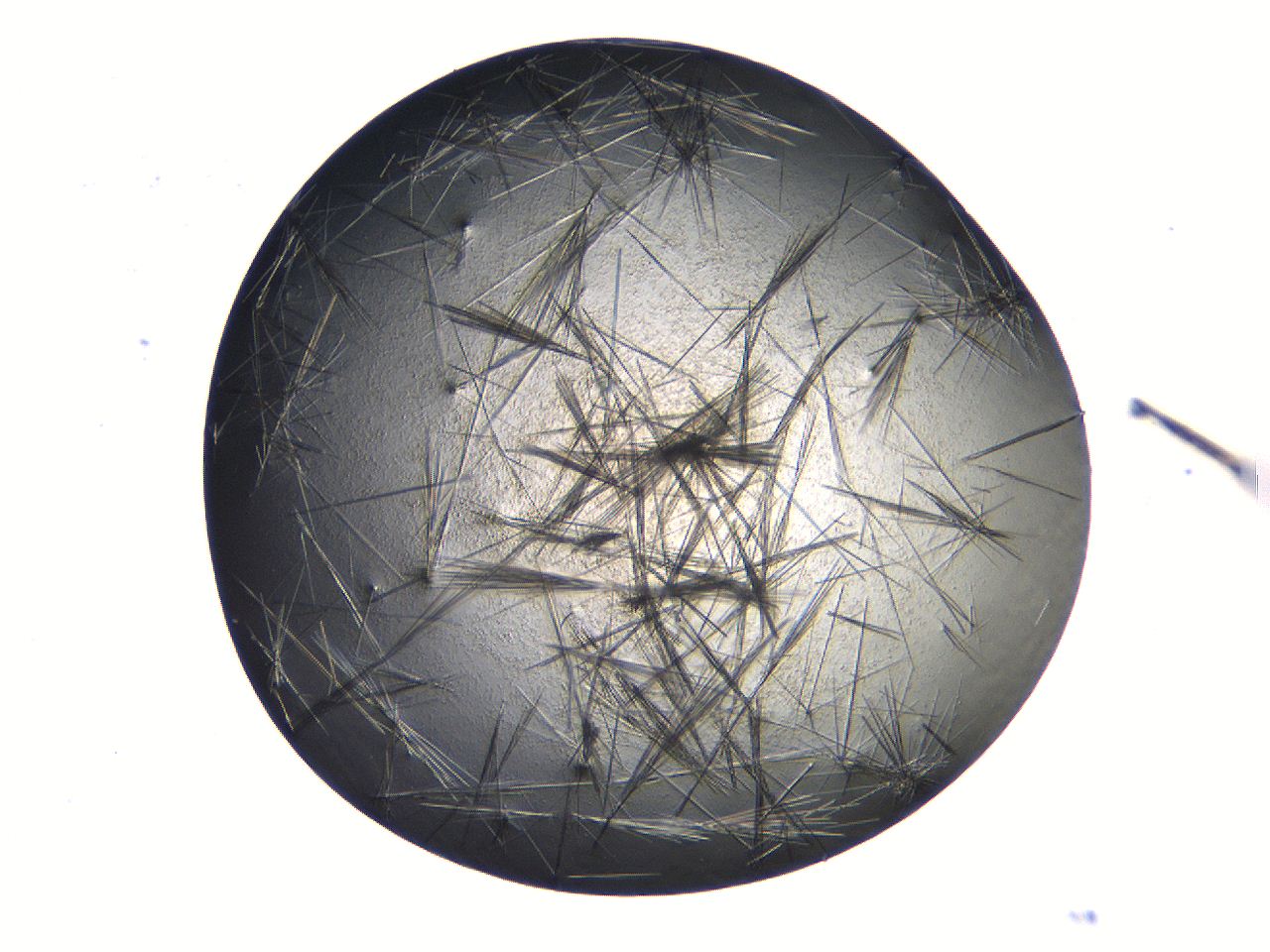 069b_A2_ImagerDefaults_7.jpg
