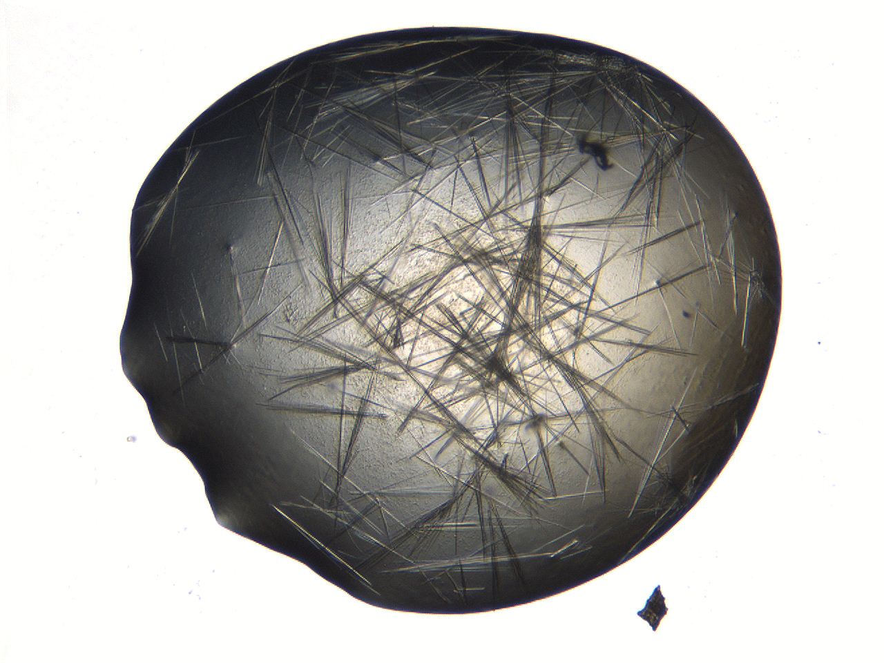069b_A1_ImagerDefaults_7.jpg