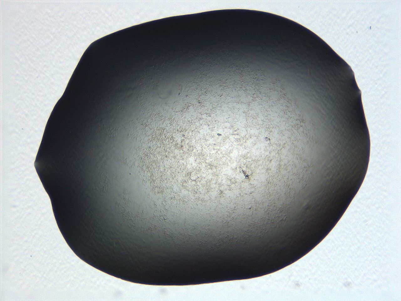 069b_F7_ImagerDefaults_3.jpg