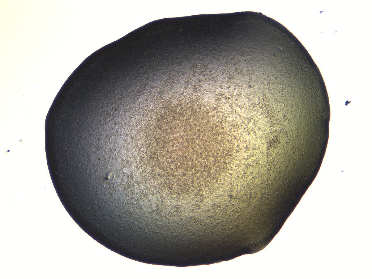 069b_F9_ImagerDefaults_3.jpg