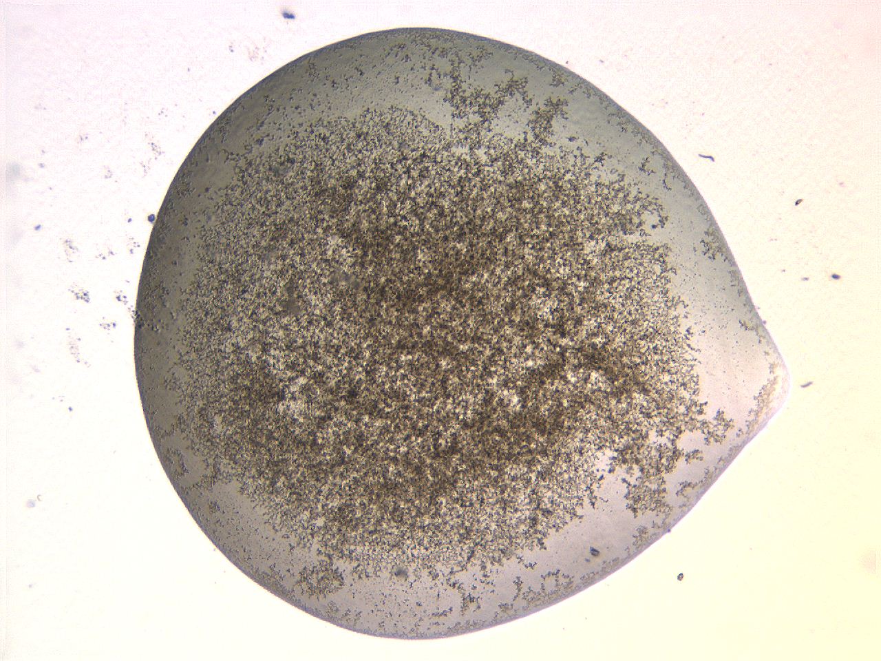069b_F11_ImagerDefaults_3.jpg