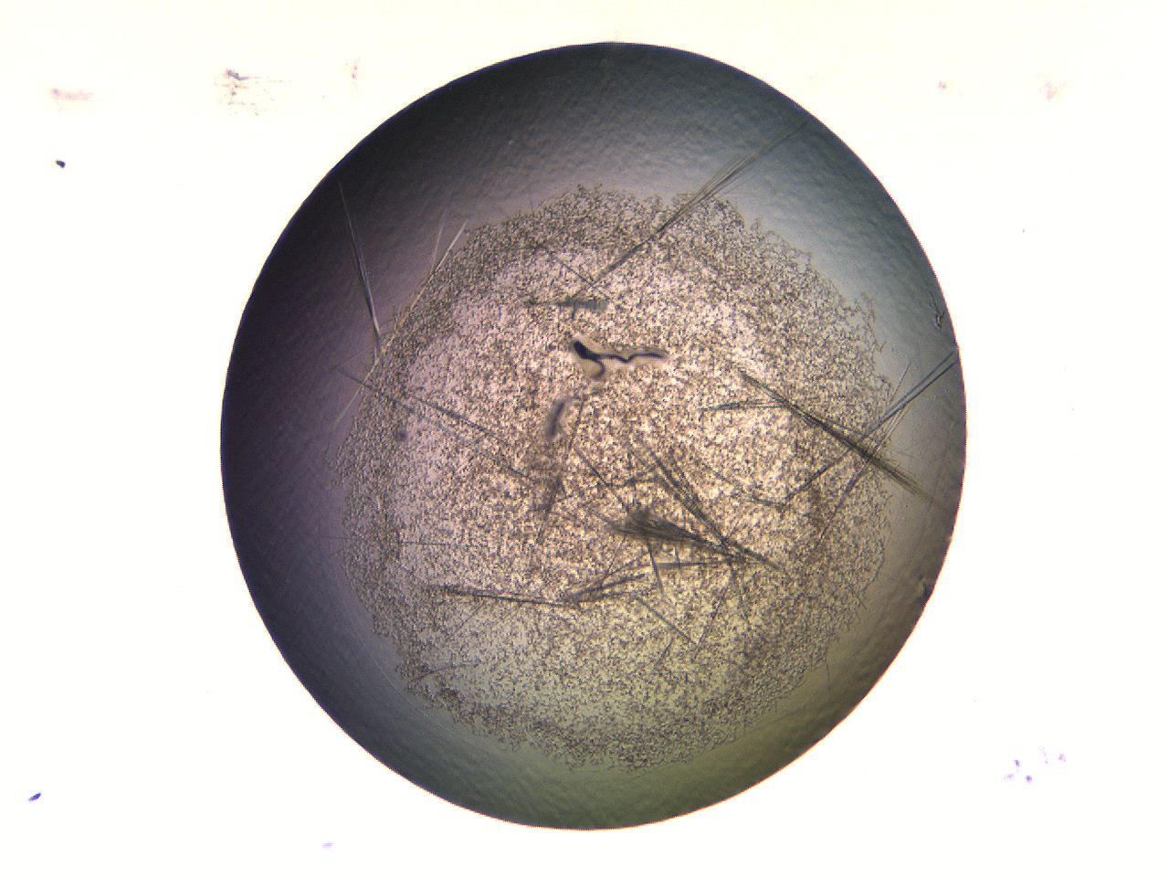 069b_F12_ImagerDefaults_7.jpg