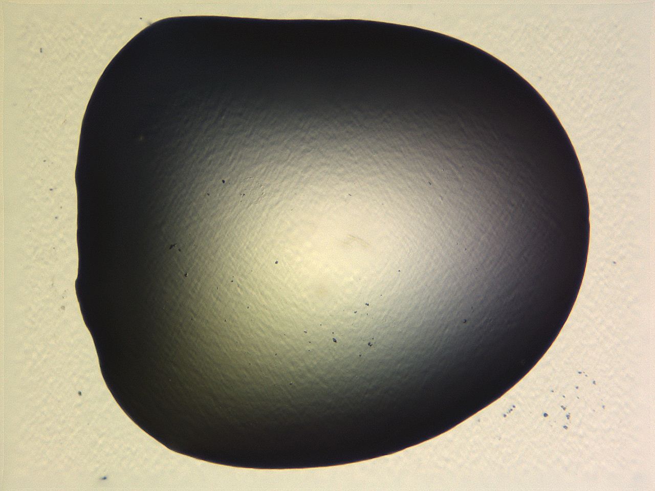 069b_G1_ImagerDefaults_0.jpg